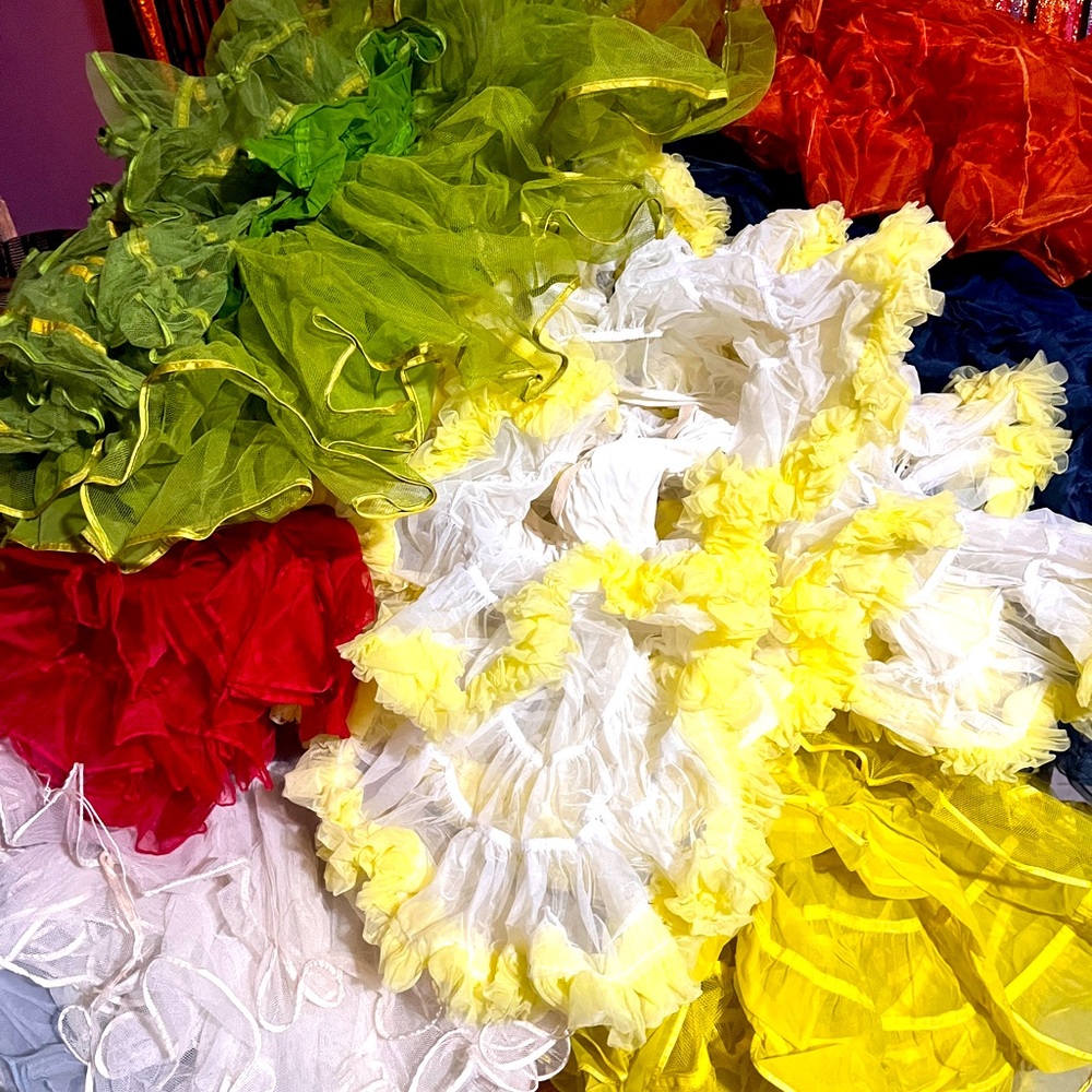 Various Vintage petticoats. Please message me for sizes and specific colors.